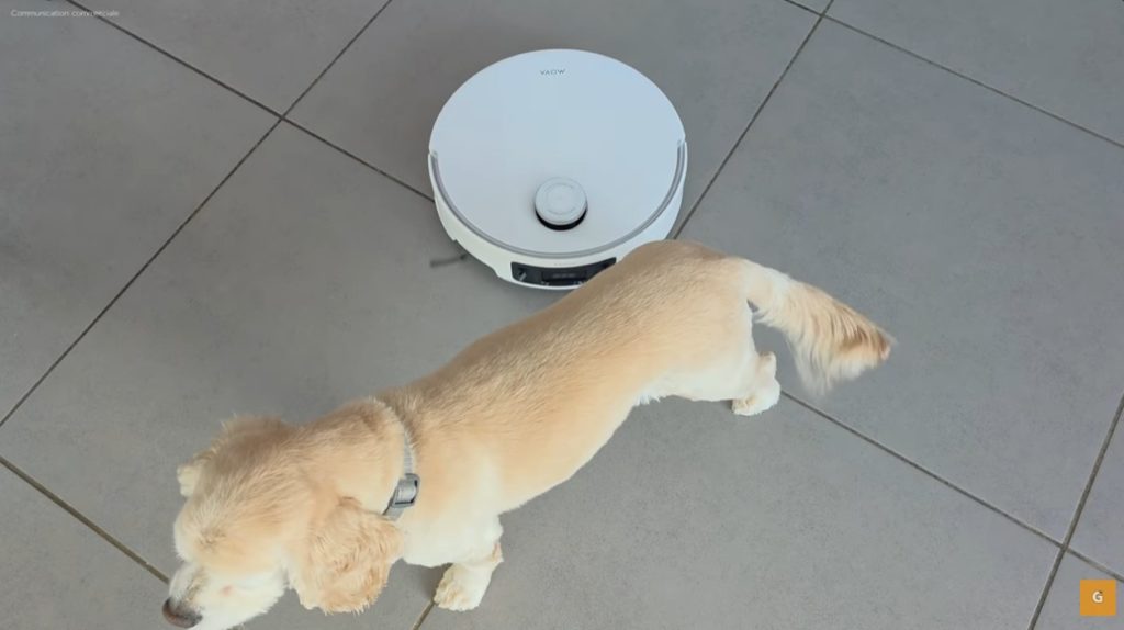 MOVA Z60 Ultra Roller Standalone